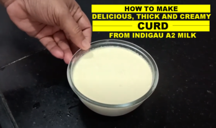 How To Make Curd At Home