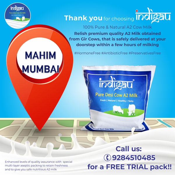 A2 milk in Mahim, Mumbai