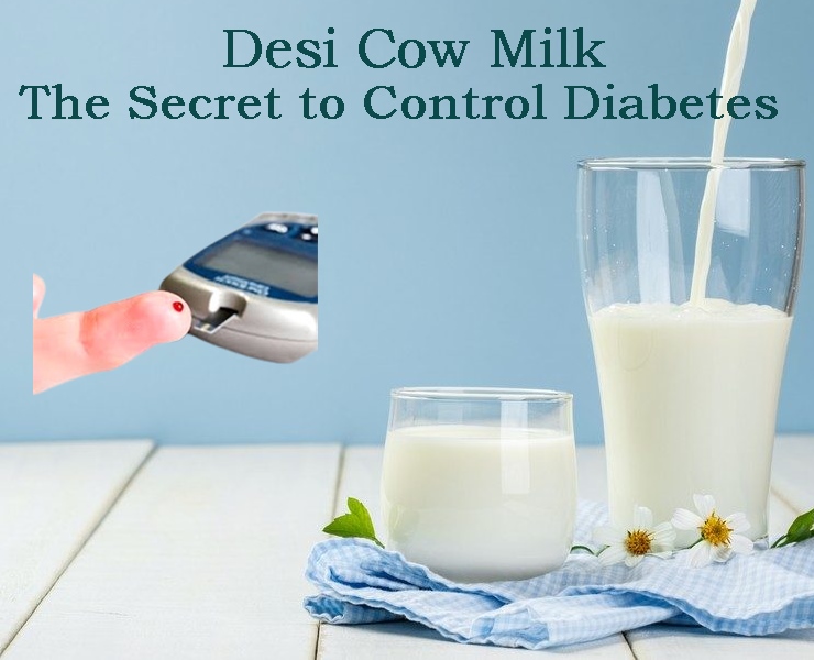 A2 Milk a Better Option for Diabetics