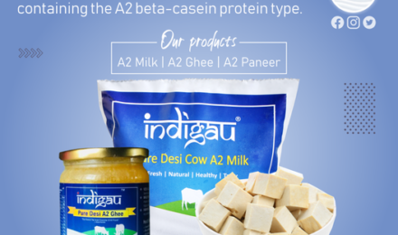 A2-milk-products